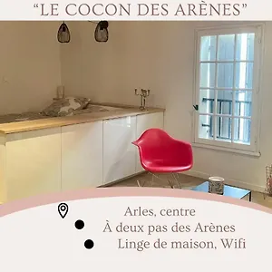 Cocon Au Pied Des Arènes D'arles , Arles France